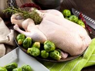 Frische Ente aus &Ouml;sterreich