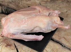 Frische Gans im Ganzen aus Österreich